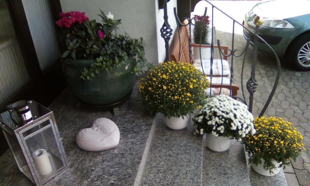 Bed and Breakfast Haus Reitz Ernst Esterno foto